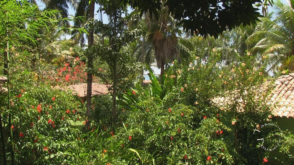 Pousada Tassimirim Velha Boipeba Екстериор снимка